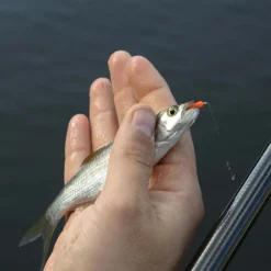 Appâts Artificiels Cresta Spaghetti Worms (x8)