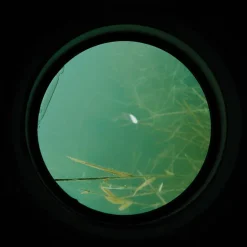 Aquascope carpe carp spirit water scan