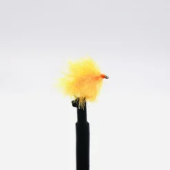 Blob orange sunburst H10 (x3)