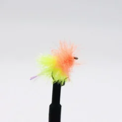 Blob tequila H10 (x3)