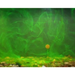 Booster carpe goo almond supreme bait smoke