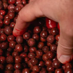 Booster carpe mainline smart liquid fish