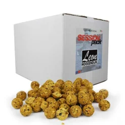 Bouillettes Hoogendijk Session Pack Plus 20kg Banana Pineapple N Butyric