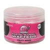 Bouillettes équilibrées carpe mainline wafter barrels fruity squid 10/14mm