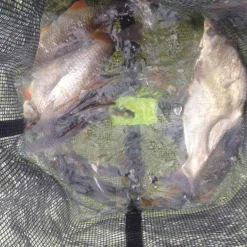 Bourriche silure madcat floating bait station