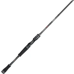 Canne Casting SAKURA Iconic RS The Beat 2m08 7-28g