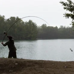 Canne Korda Kaizen Platinum 12