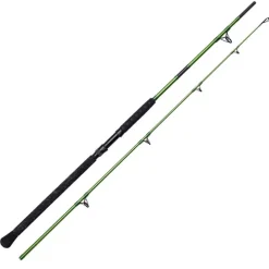 Canne Madcat Heavy Duty 2.40 m 200-400 g