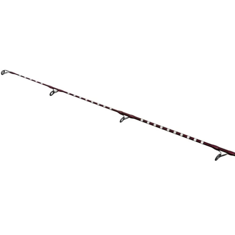 Canne Shimano Power Surf H 425 AX L 4.25m 250g