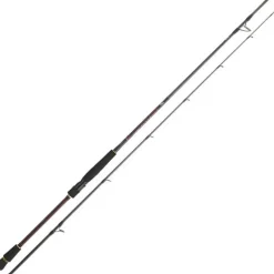 Canne Spinning Daiwa Infeet Seabass 2.74m
