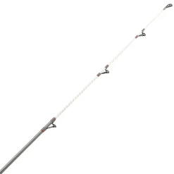 Canne Surfcasting DAIWA Shorecast Surf X 4m20 100-200g