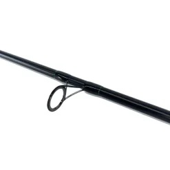 Canne Team CarpFishing Process 10' 3lbs