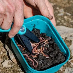 Ciseaux à vers Rive