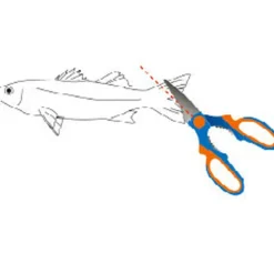 Ciseaux flashmer coupe queues