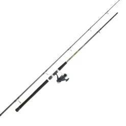 Combo Daiwa SW CF 262 CF + PH 5000 BU