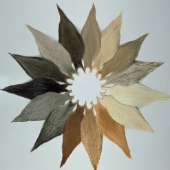 Cou de coq metz grade 2 natruel (cou entier)