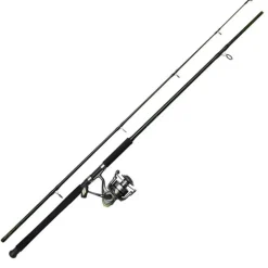 Ensemble DAM Full Cat XP Combo 2m10 40-150g
