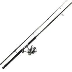 Ensemble DAM Full Cat XP Heavy-D 2m70 150-250g