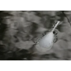 Flotteur stalking korda interceptor float