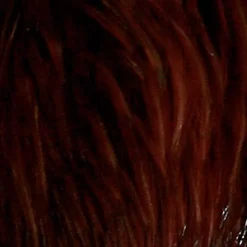 Fly tying cou de de coq indien naturel jmc