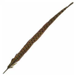 Fly tying plume de queue de faisan naturel jmc