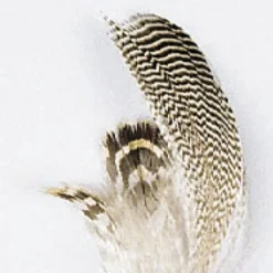 Fly tying plumes de sarcelle jmc