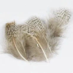 Fly tying plumes perdrix grise jmc