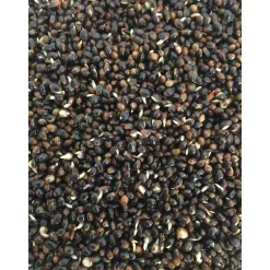 Graine cuite carpe mack2 ready made chili hemp 2.3l