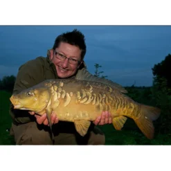 Grains de maïs artificiels carpe korda pop-up corn