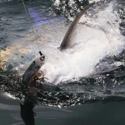 Leurre de surface popper tackle house feed popper 150 15cm 60g