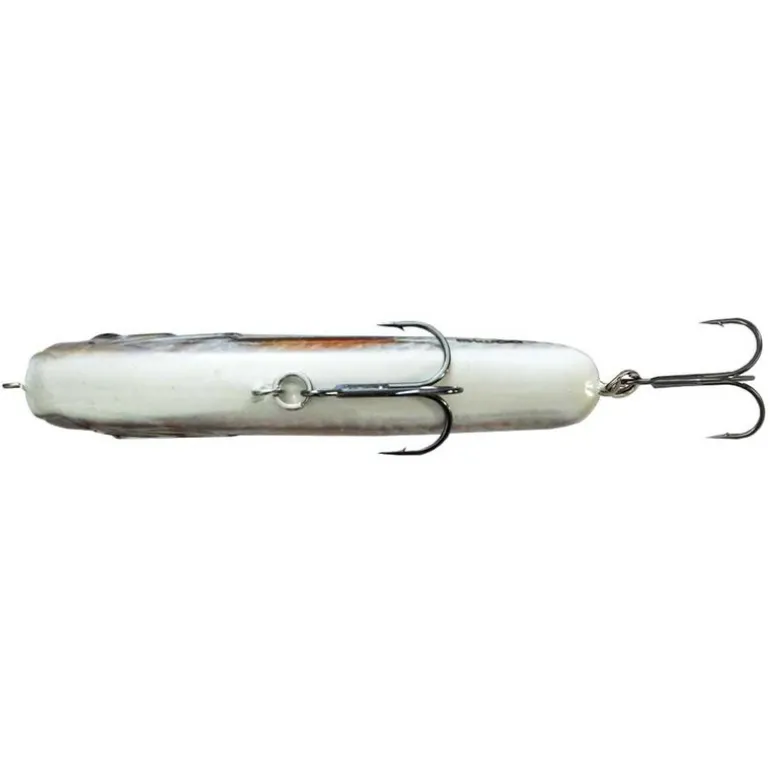 Leurre Dur Jerkbait Biwaa Raffal 13cm, 75g