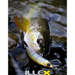 Leurre dur jerkbait carnassier illex tricoroll 55 s 5,5cm 3,5g