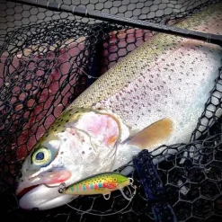 Leurre Dur Jerkbait Rapala Countdown 03 3cm 4g