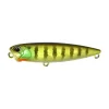 Leurre Dur Stickbait DUO Realis Pencil 65 FW 6,5cm, 5,5g