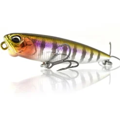 Leurre Dur Stickbait DUO Realis Pencil 65 FW 6,5cm, 5,5g