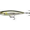 Leurre Dur Stickbait Rapala Precision Xtreme Pencil 10.7cm, 21g