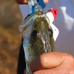 Leurre Souple Grub Delalande Sandra Monté 9cm, 7g (x2)