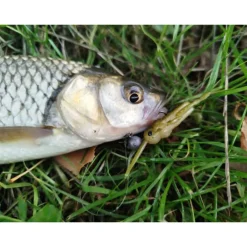 Leurre Souple Insecte Delalande Grillon 3cm (x3)