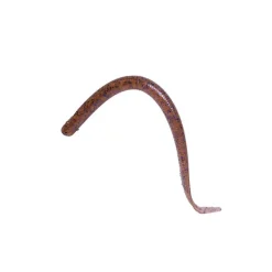Leurre Souple Reins Swamp Eel 16.5cm