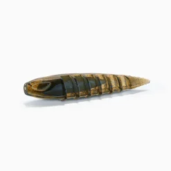 Leurre Souple Worm Nays ND 7.6cm (x6)