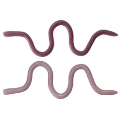 Leurre Souple Worm OSP Mmz 10cm (x8)