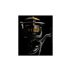 Moulinet daiwa bg black gold 5000
