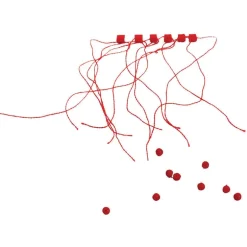 Nœud d’arrêt coulissant + perles water queen (sachet de 12 perles) rouges