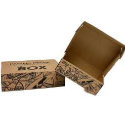 Pack 3 BEST leurres XORUS ASTURIE 11cm