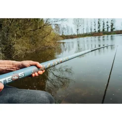 Pack Teos Majesty Specimen 1000 + Top2