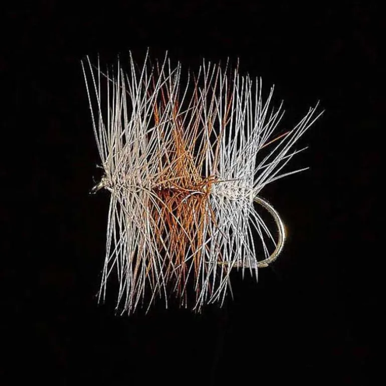 Palmer JMC Tricolore Claire H16 (x3)