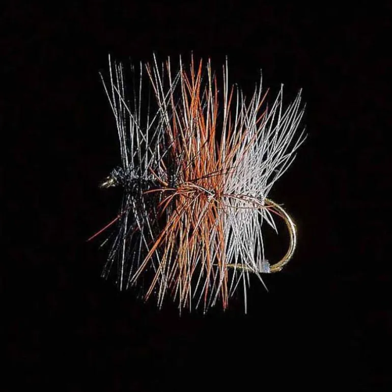 Palmer JMC Tricolore Foncée H16 (x3)