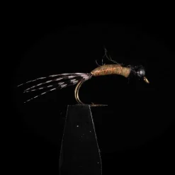 Perdigone JMC PG3 H14 (x3)