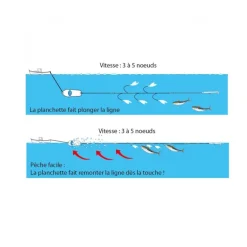 Planchette japonaise mer flashmer 18 cm