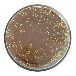 Pâte à Truite Arôme Fish pellet Berkley Natural Fish Pellet Glitter